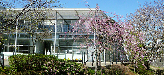 横浜市市沢地区センター